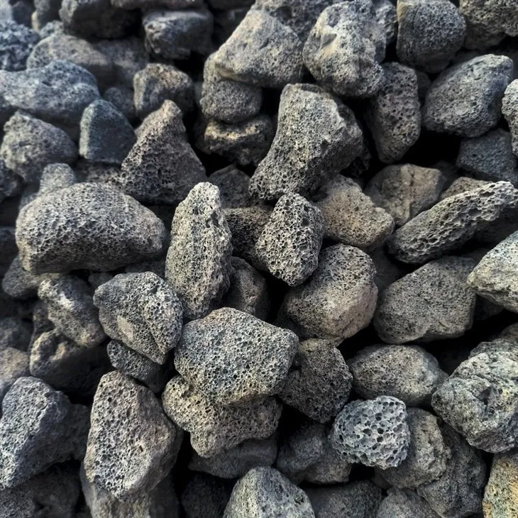 _20240110172851_(001)