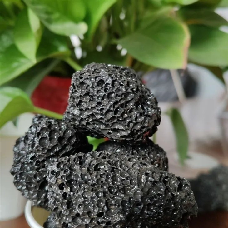 _20240111102654_(001)